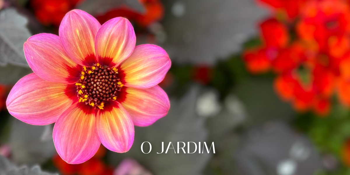 O JARDIM