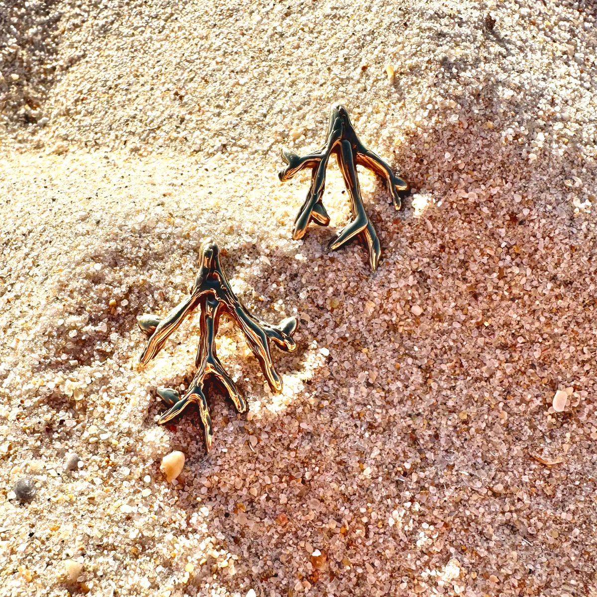 Coral